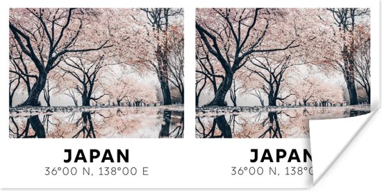 Poster Sakura - Japan - Lente - Roze - 120x60 cm