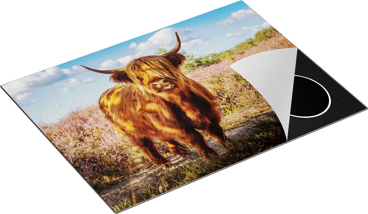 Chefcare Inductie Beschermer Schotse Hooglander Koe in de Wei - 70x52 cm - Afdekplaat Inductie - Kookplaat Beschermer - Inductie Mat