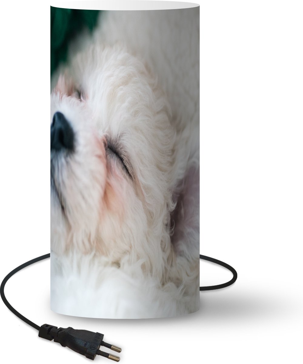 Lamp - Nachtlampje - Tafellamp slaapkamer - Slapende bichon frisé puppy - 33 cm hoog - Ø15.9 cm - Inclusief LED lamp