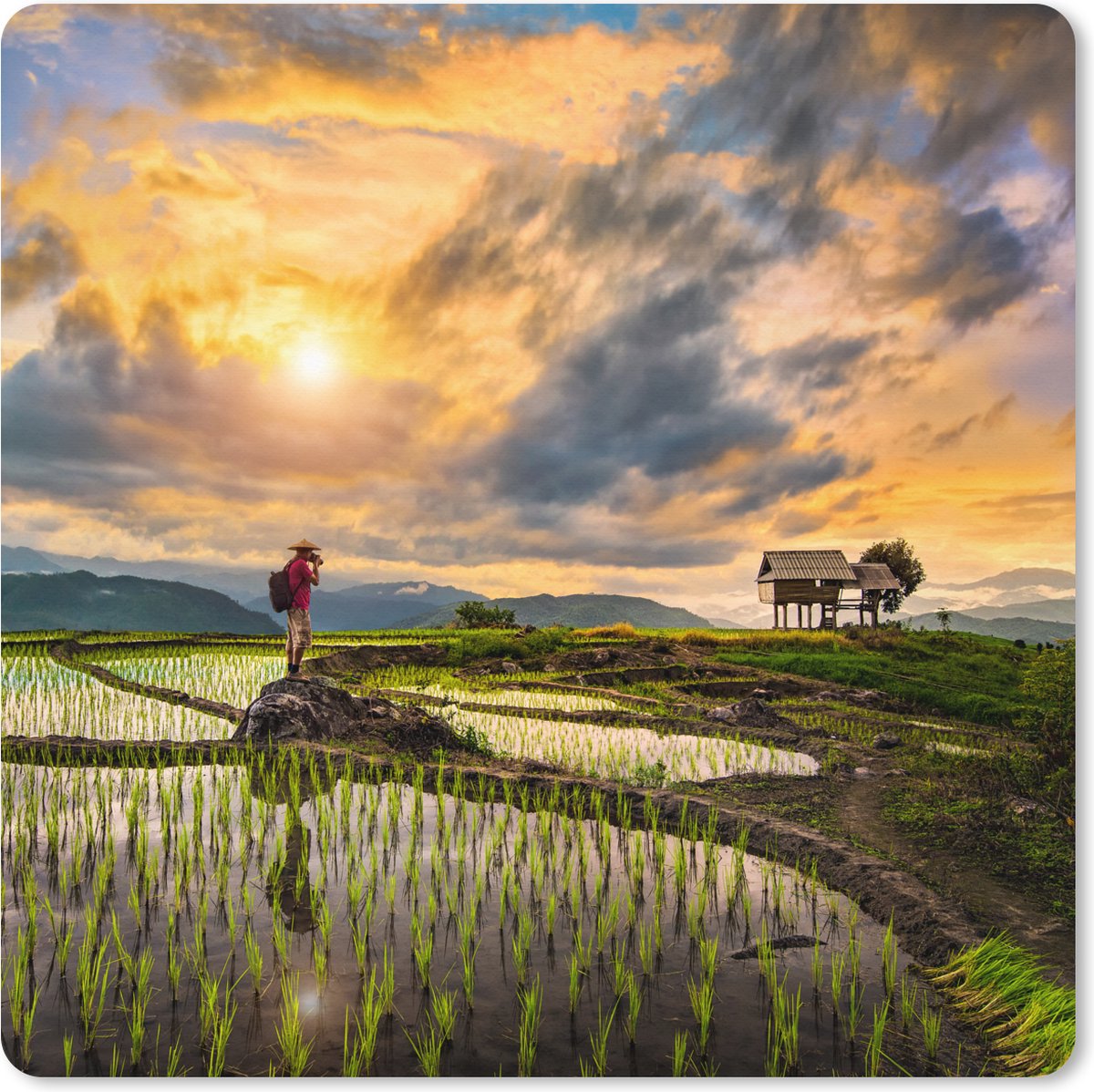 Muismat XXL 80x80 cm - Bureau onderlegger - Bureau mat De mooie rijstvelden van Thailand onder een geweldig gekleurde lucht - Bureaumat - Gaming mousepad xl - Bureaulegger groot - Computer deskmat