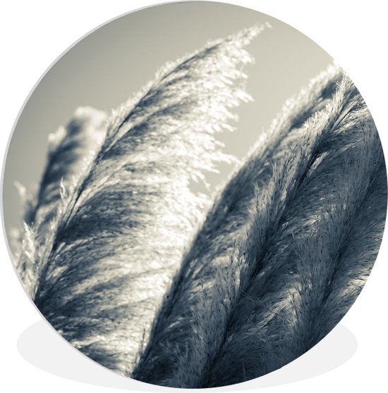 WallCircle - Wall Circle - Wall Circle Indoor - Herbe de la Pampa - Zwart - Wit - Nature - 150x150 cm - Décoration murale - Peintures Ronds
