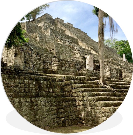 Bel arbre dans les escaliers du temple Maya de Calakmul Assiette en plastique cercle mural ⌀ 90 cm - impression photo sur cercle mural / cercle vivant (décoration murale)