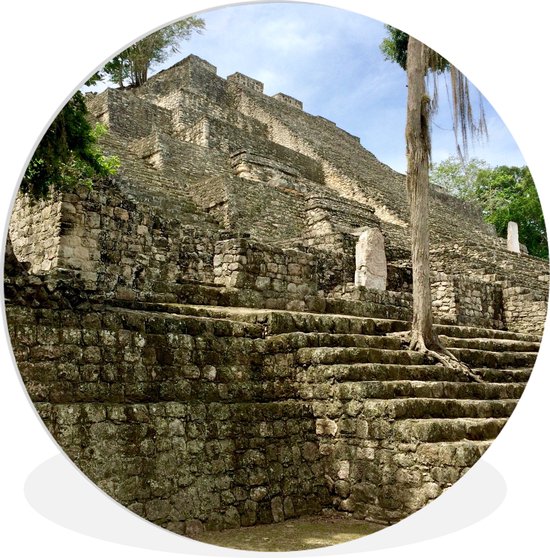 WallCircle - Wandcirkel ⌀ 90 - Mooie boom op de trap van de Maya tempel in Calakmul - Ronde schilderijen woonkamer - Wandbord rond - Muurdecoratie cirkel - Kamer decoratie binnen - Wanddecoratie muurcirkel - Woonaccessoires