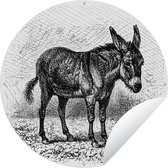 Tuincirkel Een illustratie van een ezel - 60x60 cm - Ronde Tuinposter - Buiten