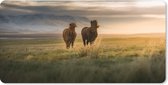 Muismat XXL - Bureau onderlegger - Bureau mat - IJslander paarden in een groen veld bij zonsondergang - 90x45 cm - XXL muismat