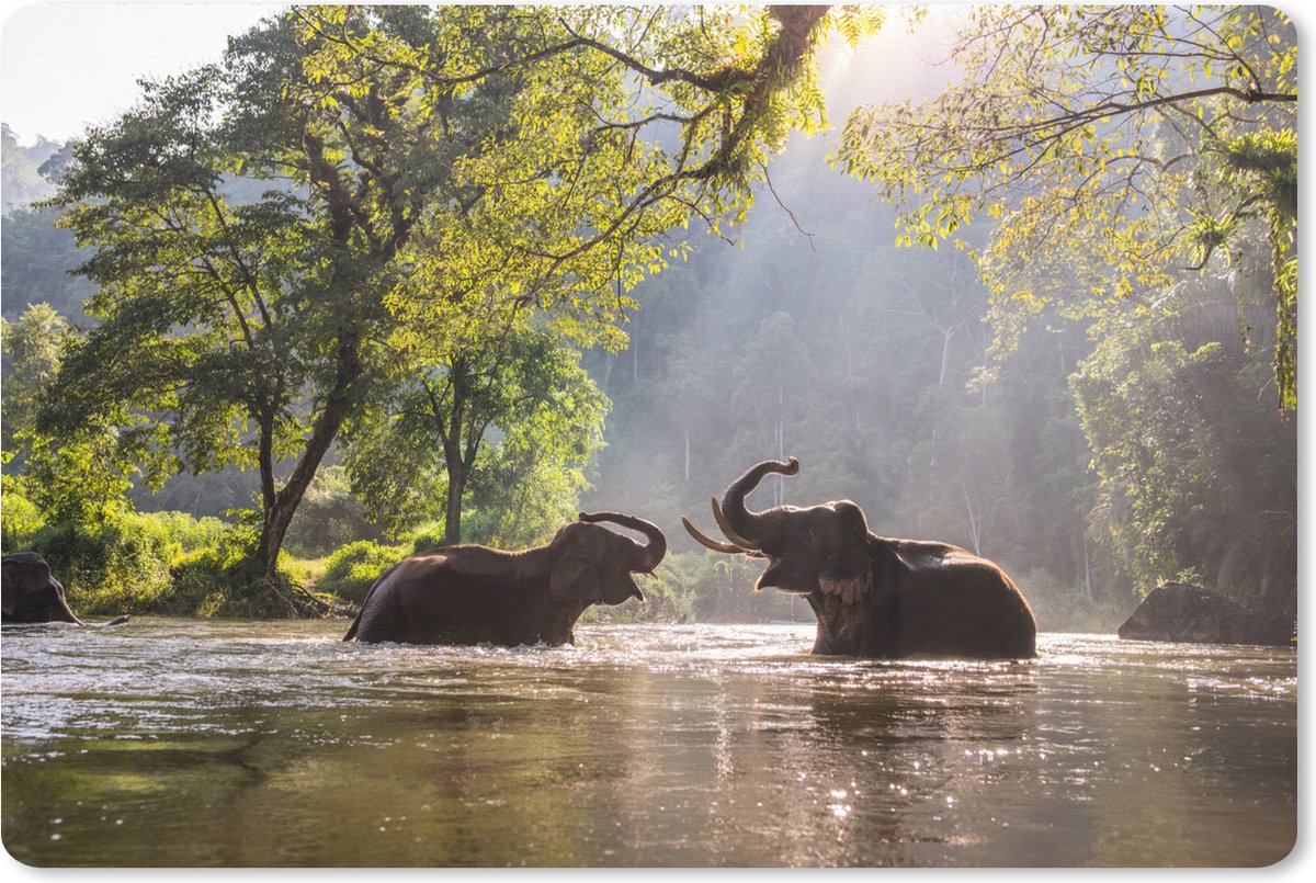 Muismat XXL 120x80 cm - Bureau onderlegger - Bureau mat Olifant - Water - Dieren - Bomen - Zon - Bureaumat - Gaming mousepad xl - Bureaulegger groot - Computer deskmat