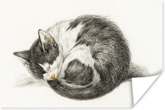 Poster Opgerolde slapende kat - schilderij van Jean Bernard - 30x20 cm
