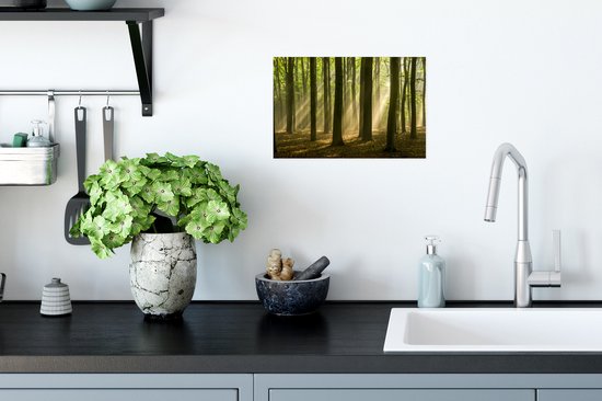 La lumière du soleil d'automne brille sur les vieux arbres Poster 30x20 cm - petit - Tirage photo sur Poster (décoration murale salon / chambre)