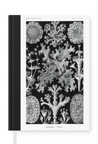 Notitieboek - Schrijfboek - Kunst - Koraal - Ernst Haeckel - Oude meesters - Natuur - Notitieboekje klein - A5 formaat - Schrijfblok