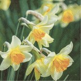 20x Gekleurde 3-laags servetten narcissen 33 x 33 cm - Voorjaar/lente thema