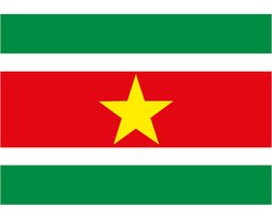 Vlag van Suriname stickers - 7.5 x 10 cm - Binnen/buiten - voor supporters