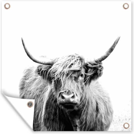 Schotse Hooglander fotobehang zwart/wit | voor klein en