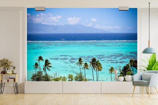 Papier peint photo en vinyle - Palmiers sur la côte de Moorea en Polynésie française largeur 360 cm x hauteur 240 cm - Tirage photo sur papier peint (disponible en 7 tailles)