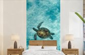Behang - Fotobehang Schildpad in de zee - Breedte 120 cm x hoogte 240 cm