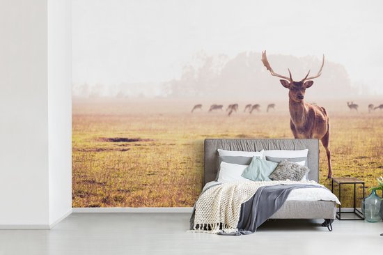 Papier peint - Papier peint Papier peint photo Cerf - Bois - Herbe - Largeur 420 cm x hauteur 280 cm