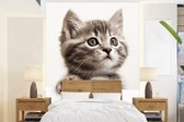 Behang - Fotobehang Poes - Grijs - Dieren - Breedte 205 cm x hoogte 280 cm