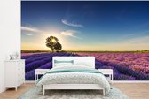 Behang - Fotobehang Lavendel - Zon - Boom - Bloemen - Paars - Breedte 295 cm x hoogte 220 cm