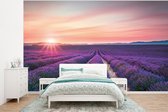 Behang - Fotobehang Lavendel - Paars - Bloemen - Breedte 295 cm x hoogte 220 cm