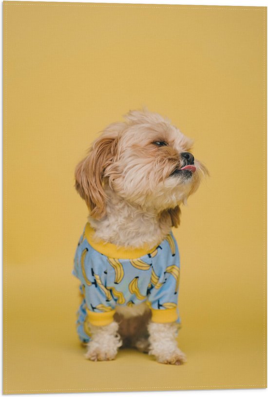 WallClassics - Vlag - Hond met Trui bij Gele achtergrond - 40x60 cm Foto op Polyester Vlag