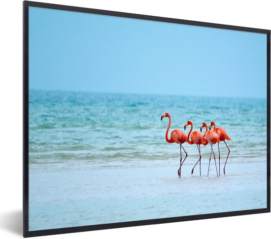 Fotolijst incl. Poster - Flamingo's aan de kust van Mexico - 40x30 cm - Posterlijst