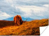 Un Highlander écossais se promène dans les montagnes Poster 160x120 cm - Tirage photo sur Poster (décoration murale salon / chambre) / Poster Animaux sauvages XXL / Groot format!