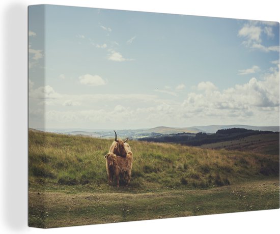 Peinture sur toile Highlanders écossais - Herbe - Nuages ​​- Animaux - 140x90 cm - Décoration murale