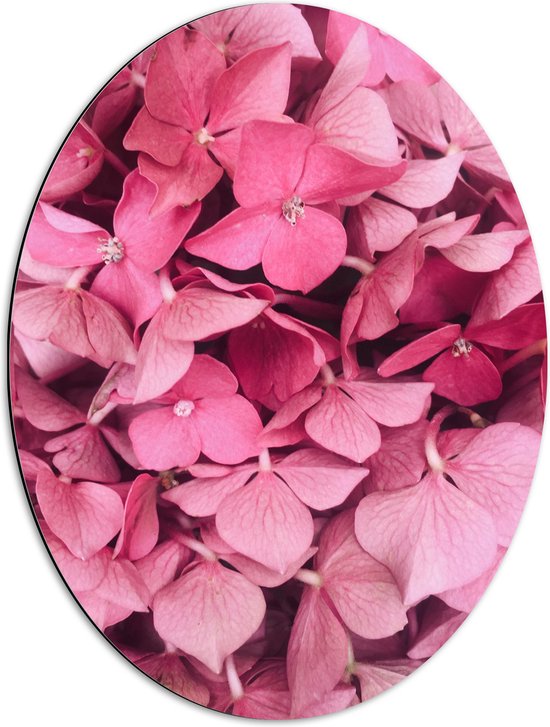 Dibond Ovaal - Dichtbegroeide Bloemenstruik in Zacht Roze Kleur - 51x68 cm Foto op Ovaal (Met Ophangsysteem)