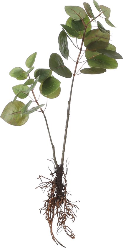 Mica Decorations Eucalyptus Kunstplant - L12 x B28 x H64 cm - Groen