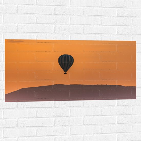WallClassics - Muursticker - Blauw met Witte Luchtballon boven Veld vol Bizons - 100x50 cm Foto op Muursticker