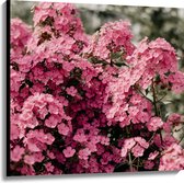 Canvas - Roze Bloementjes - 100x100 cm Foto op Canvas Schilderij (Wanddecoratie op Canvas)