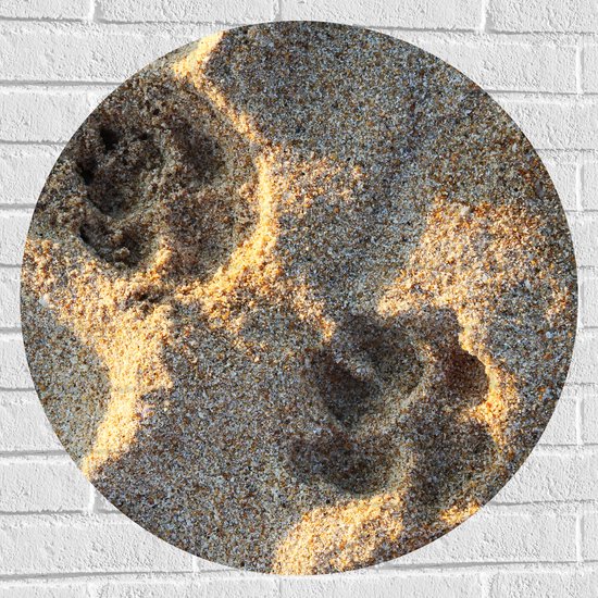 Muursticker Cirkel - Hondenpootjes in Zand van Strand - 70x70 cm Foto op Muursticker