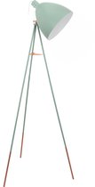EGLO Dundee Vloerlamp - E27 - 135,5 cm - Munt