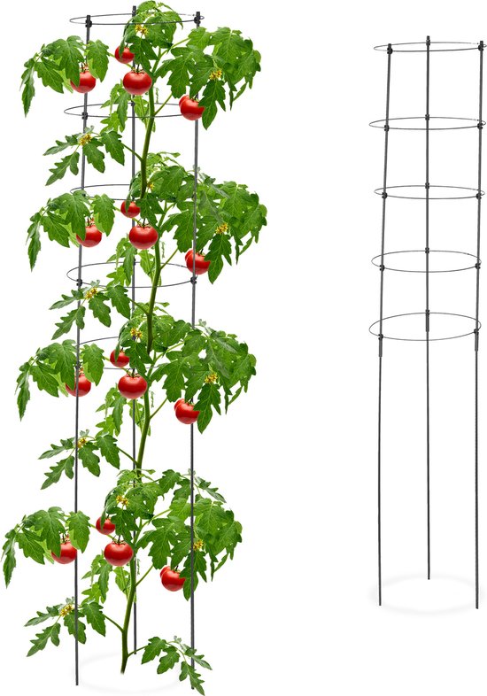 tomatensteun set van 2 - metaal - 150 cm - 5 verstelbare ringen - zwart