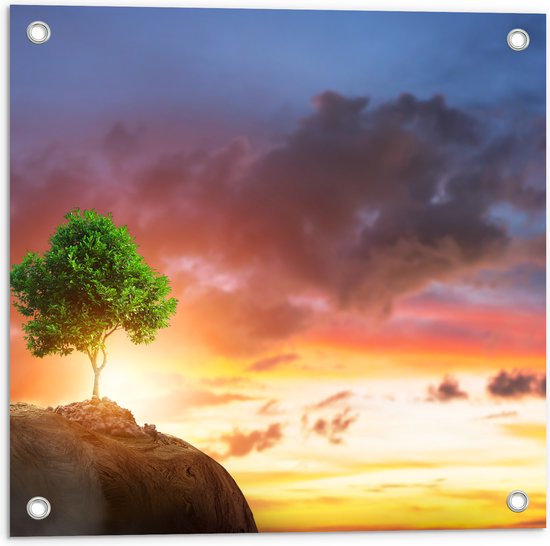 Tuinposter – Fel Groen Gekleurde Boom met Prachtige Zonsondergang op een Berglandschap - 50x50 cm Foto op Tuinposter (wanddecoratie voor buiten en binnen)