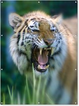 Poster Jardin tigre féroce 100x200 cm - Photo sur affiche de jardin / Peintures pour l'extérieur (décoration de jardin)