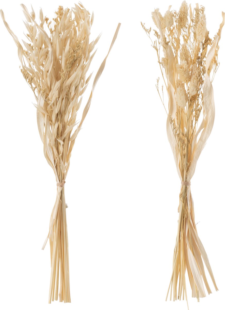 J-Line droogbloemen - Bundel gedroogde Avana gras - naturel - 2 stuks