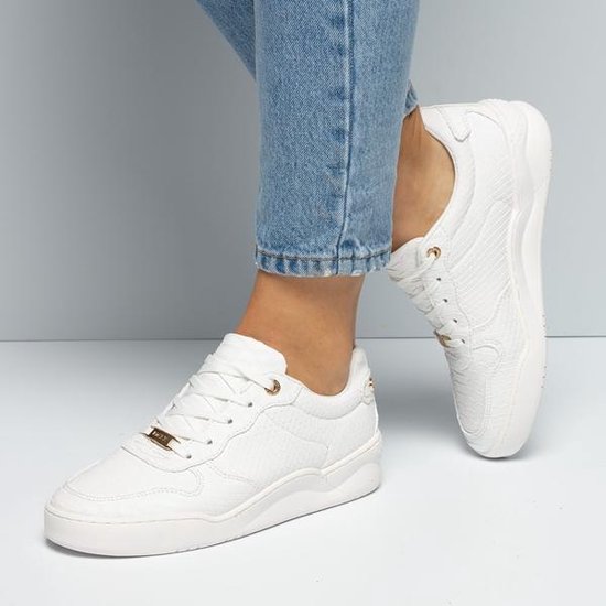 نزيف بكتيريا مجهري aqa sneakers - ashworkshop.org