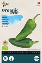 Buzzy Organic - Peper Padron BIO