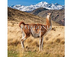 Patagonia National Park: Chile