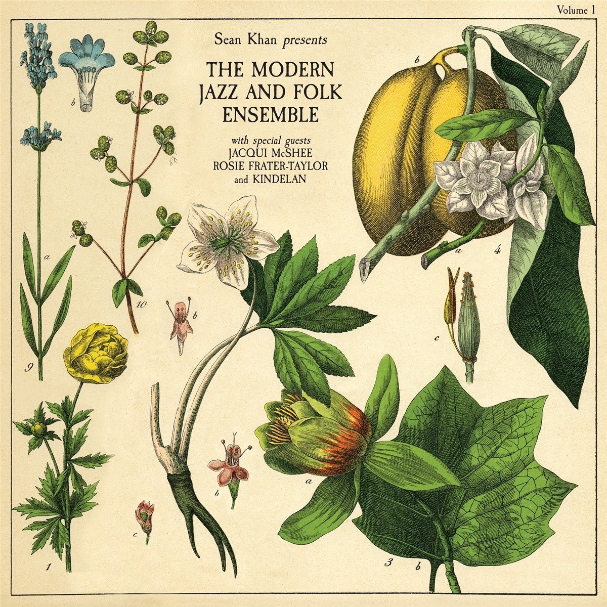 Sean Khan & The Modern Jazz And Folk - Sean Khan Presents The Modern Folk & Jazz Ensemble (LP)