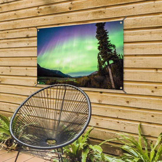 Posters de jardin Aurores Boréales - Arbre - Berg - Nature - 90x60 cm