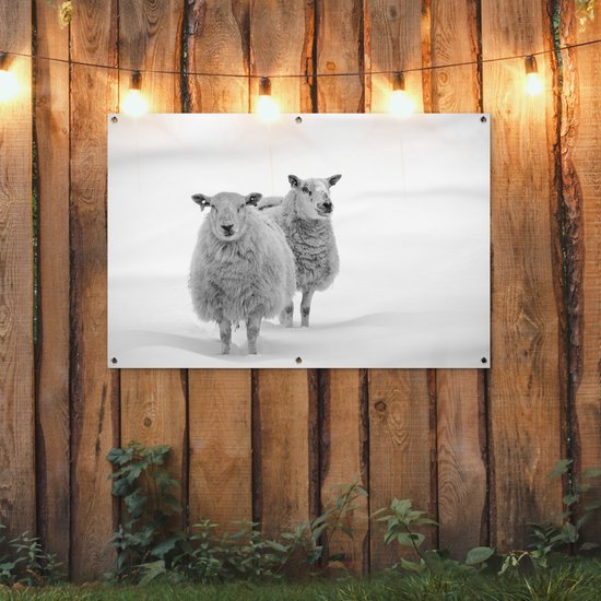 Gards Tuinposter Kudde Schapen op het Gras bij Zonsondergang - 120x80 cm - Tuindoek