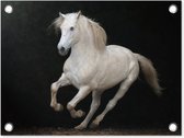 Tuin decoratie Paarden - Zwart - Portret - 40x30 cm - Tuindoek - Buitenposter