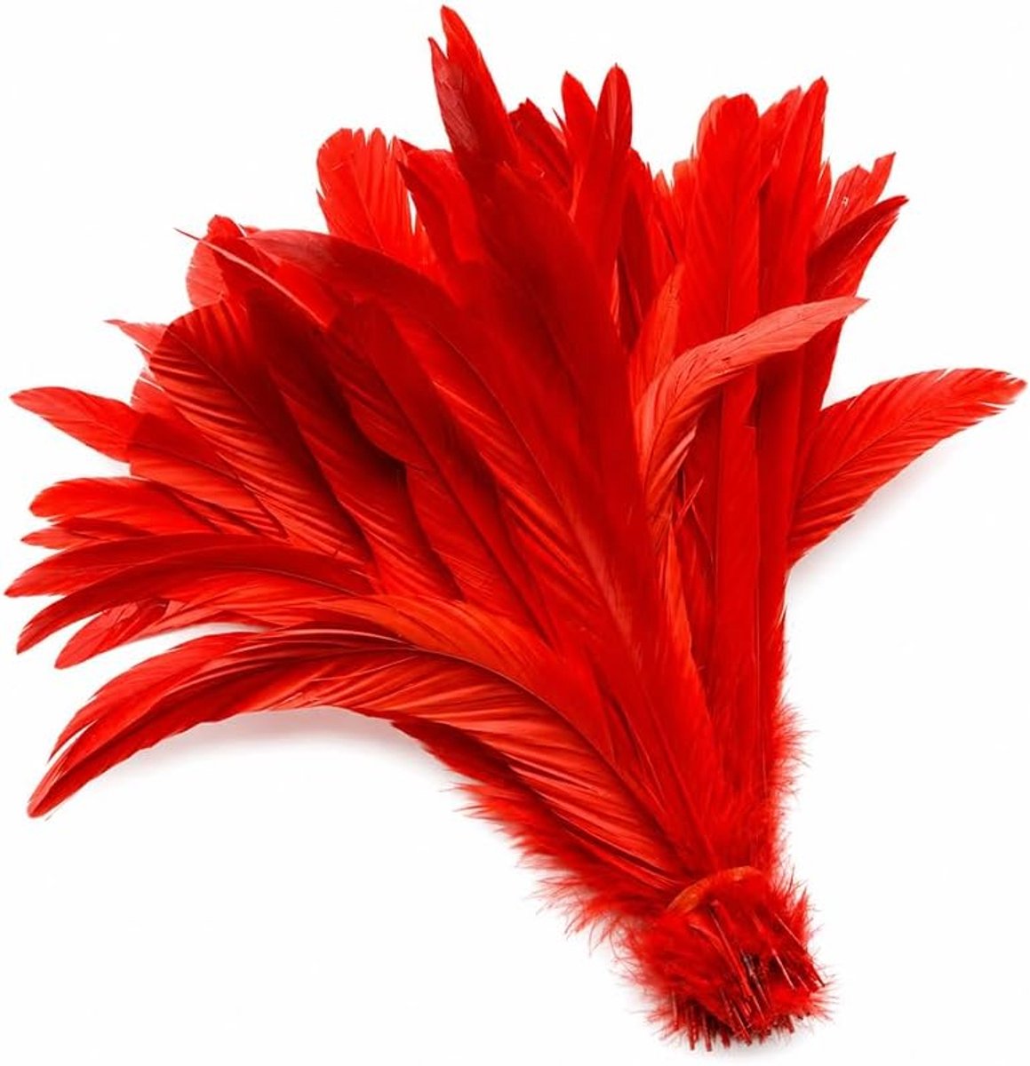 Veren 10-12 natuurlijke om te knutselen (rood)