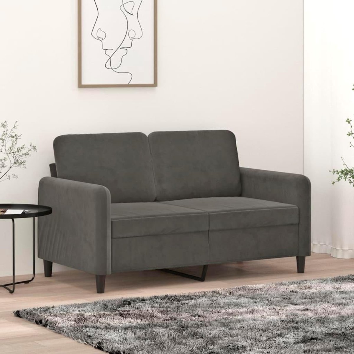 2-zitsbank, donkergrijs, 120 cm, fluwelen stof met robuust frame en comfortabele bekleding voor de woonkamer