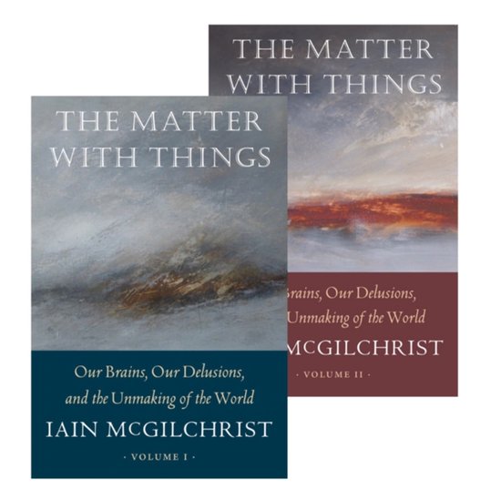 Twee boeken, 'The Matter With Things: Our Brains, Our Delusions, and the Unmaking of the World', delen I en II, met abstracte landschapskunst op de kaften.
