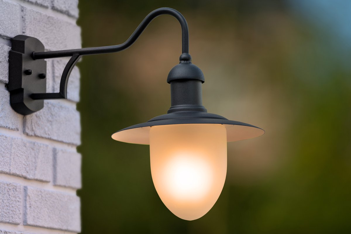 Lucide Aruba - Wandlamp Binnen/Buiten - Ø 25 cm - 1xE27 - IP44 - Zwart