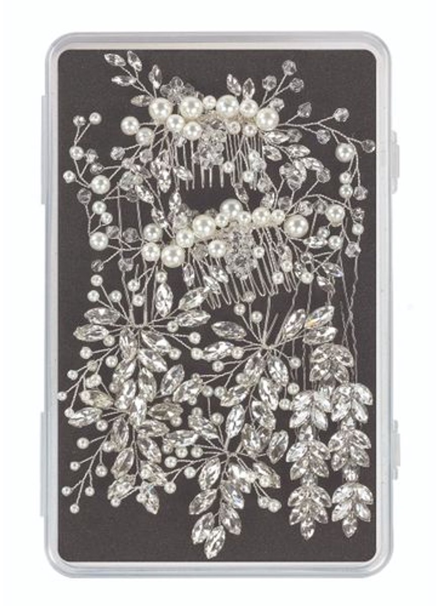 Sibel Festive Pins Zilver 13st