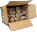 Kartonnen doos gevuld met beige vetbollen voor vogels.