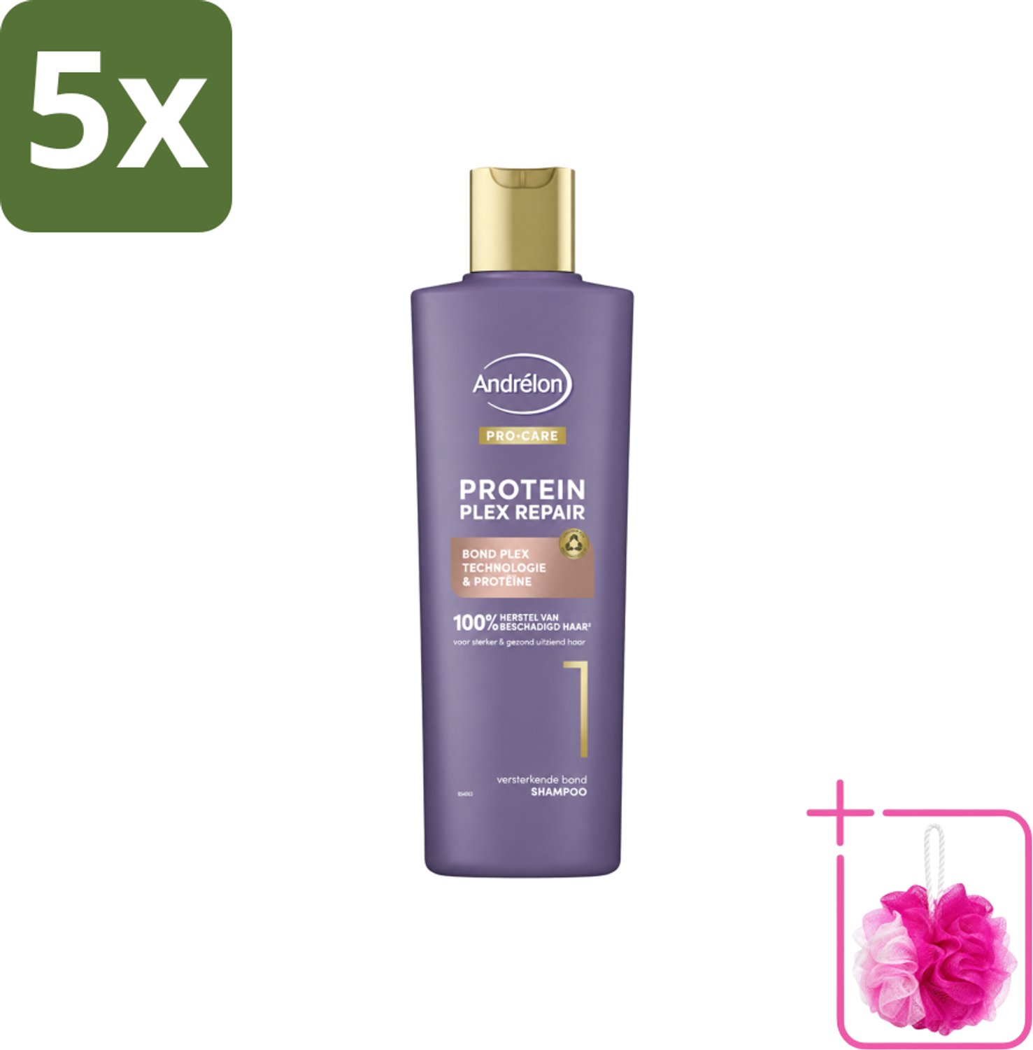 5 x Andrélon – Shampoo – Pro Care Protein Plex Repair – 250 ml - Bulkverpakking - Herstel haar - Douchemop - Beschadigd haar
